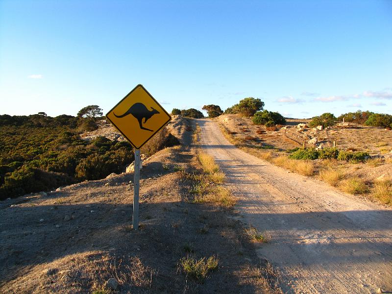 Kangaroo Island (3).jpg